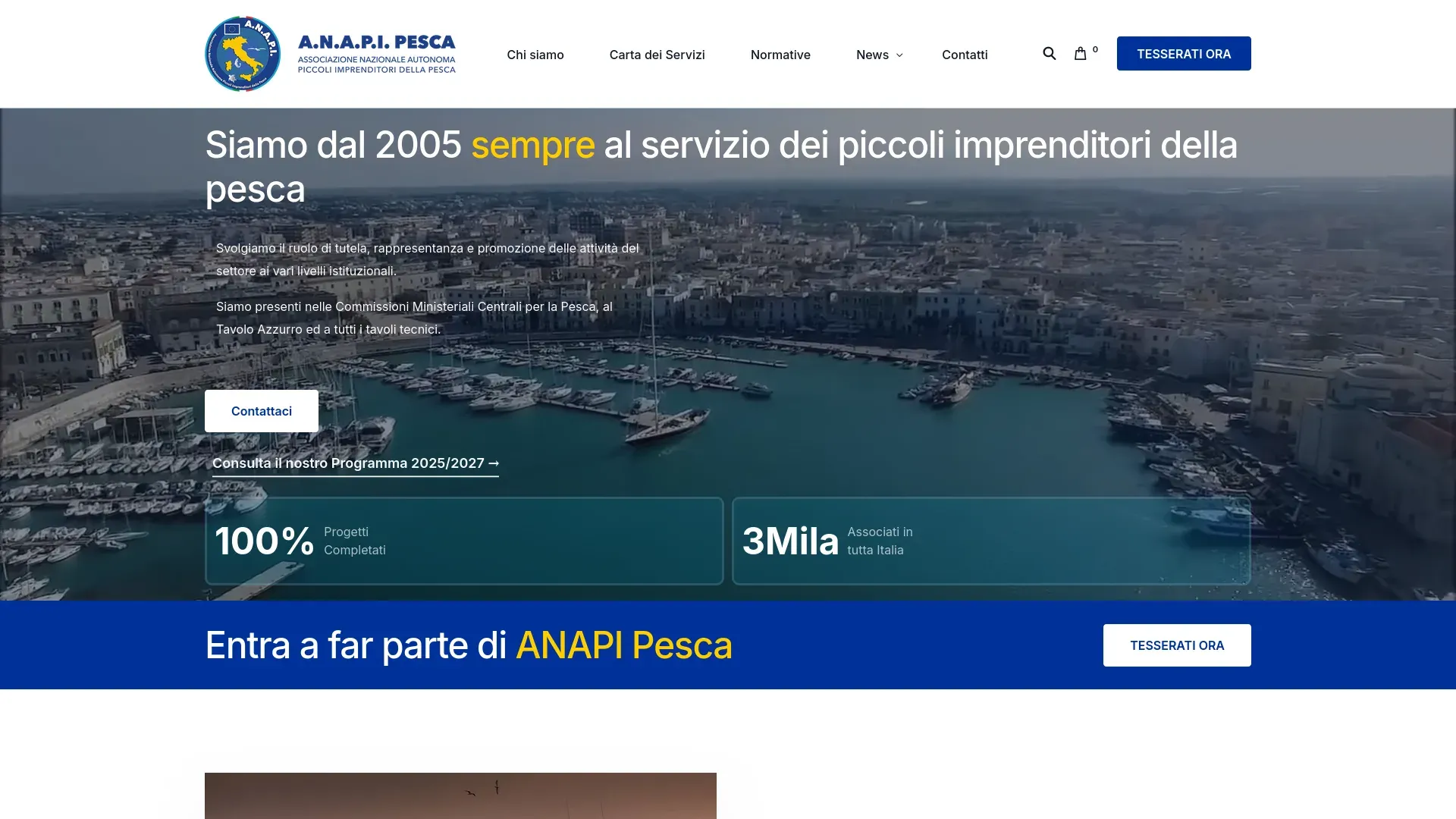 Screenshot ANAPI PESCA