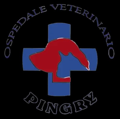 Logo PINGRY