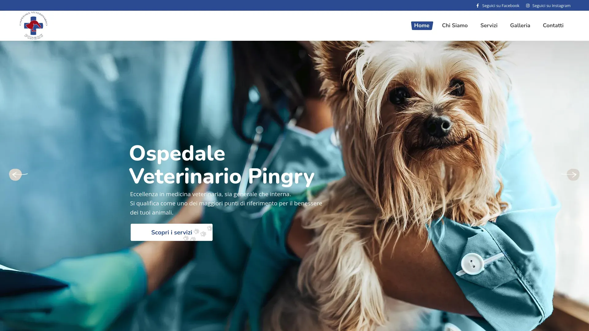 Screenshot PINGRY