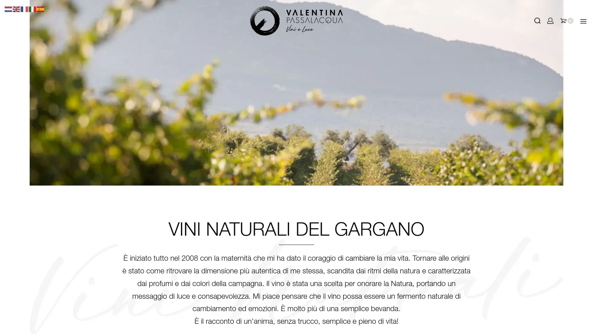 Screenshot VALENTINA PASSALACQUA